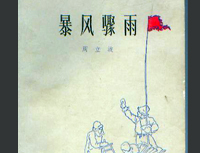 《暴風驟雨》